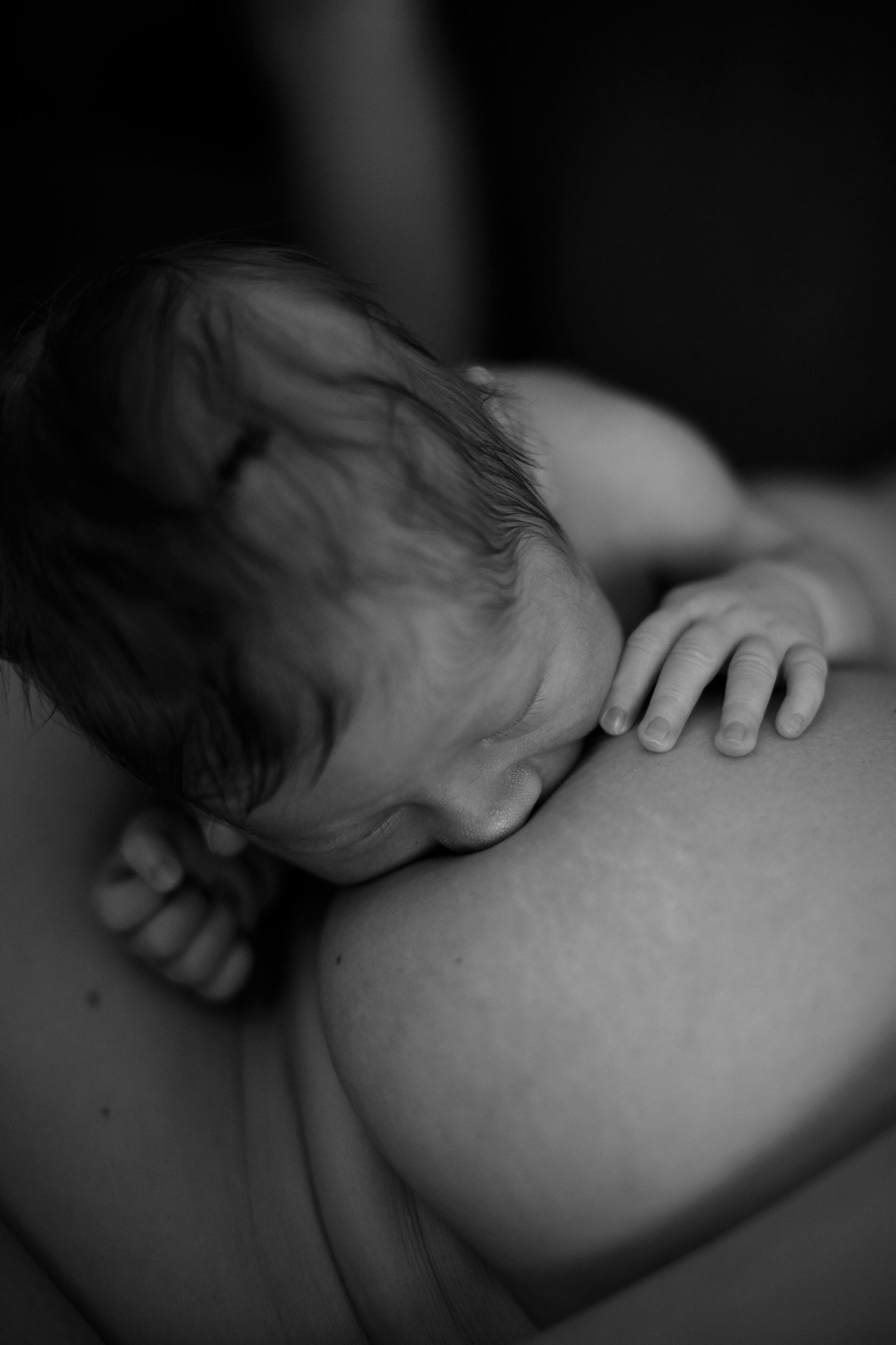 Neugeborenenfotos Berlin - Neugeborenes beim Trinken an Mamas Brust