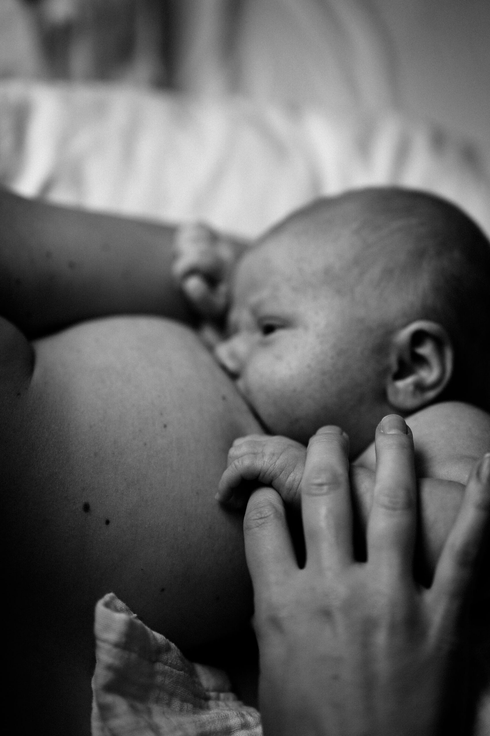 Neugeborenenfotos Berlin _ Babyhand an Mamas Finger