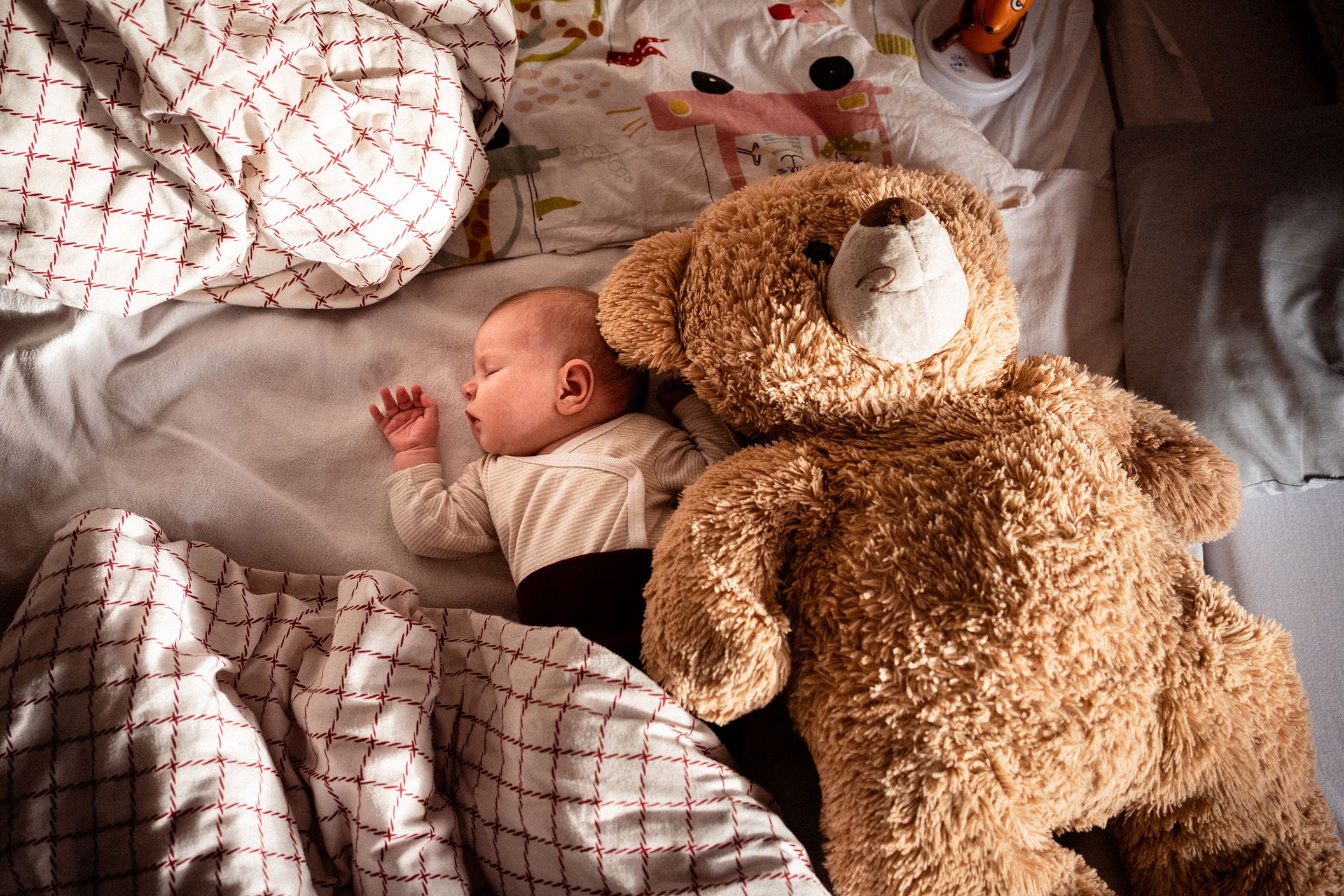 Neugeborenenfotos Berlin _ Baby mit großem Teddybär im Bett